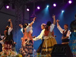 Festival de Folkore en Mula